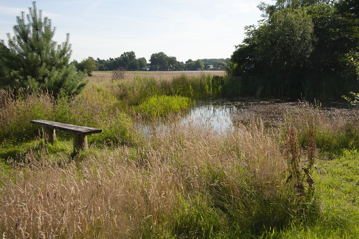 Loenense_Enkenpad_025-1.jpg