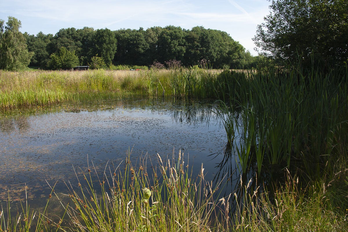 Loenense_Enkenpad_026-2.jpg