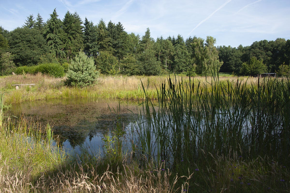 Loenense_Enkenpad_027-1.jpg