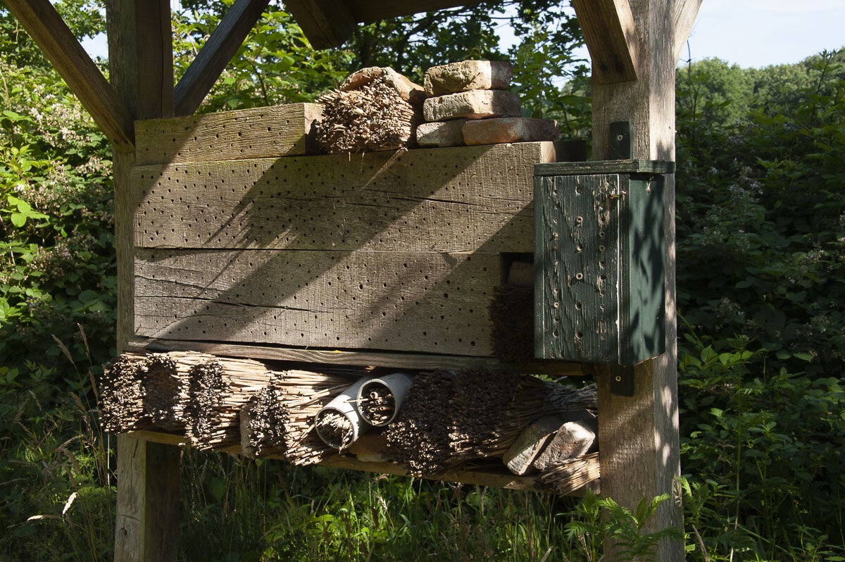 Loenense_Enkenpad_029.jpg