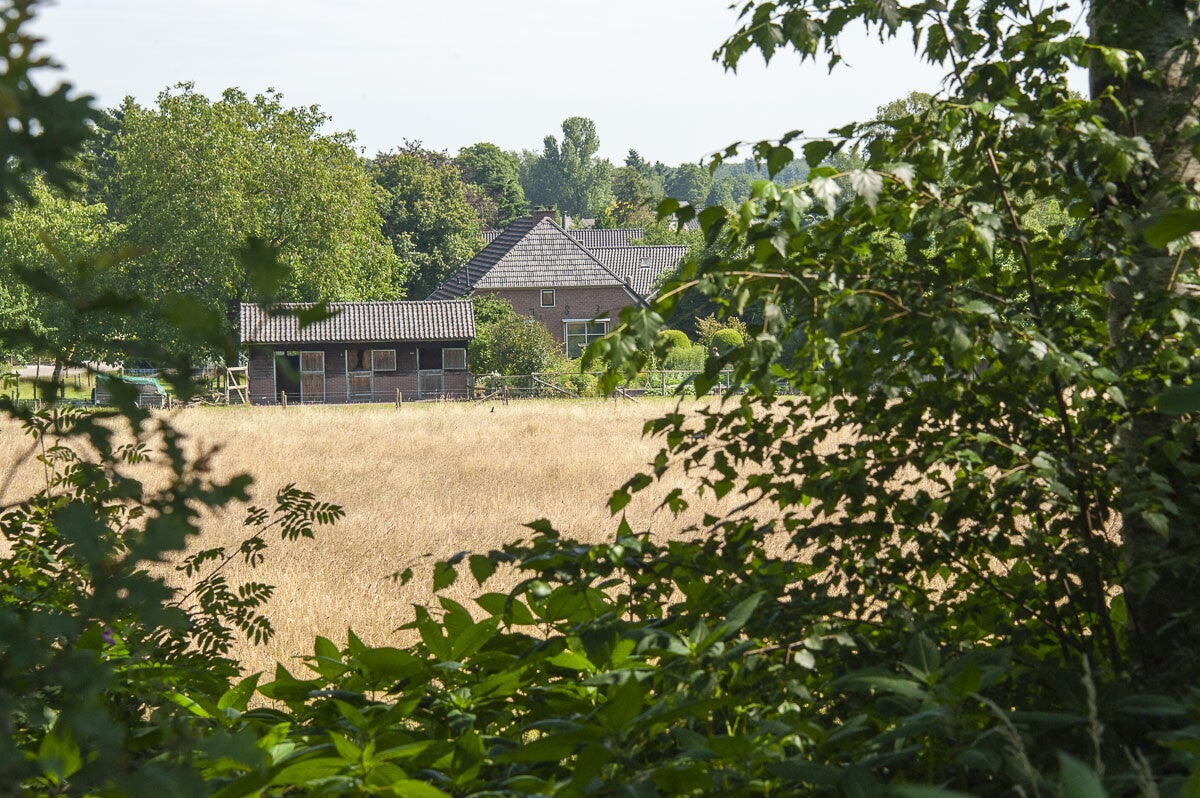 Loenense_Enkenpad_040-2.jpg