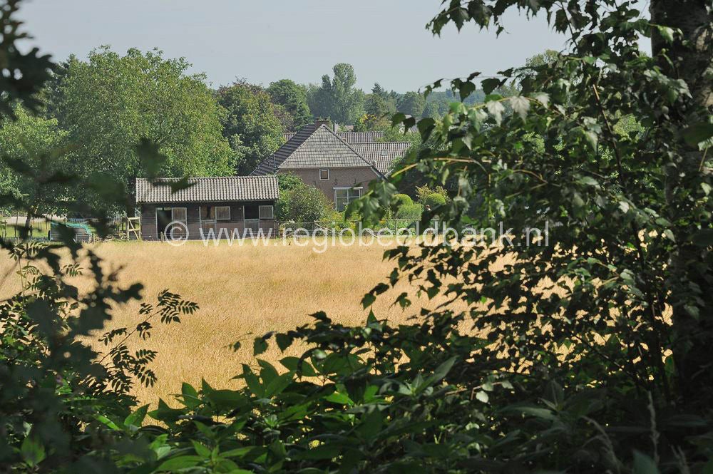 Loenense_Enkenpad_040.jpg