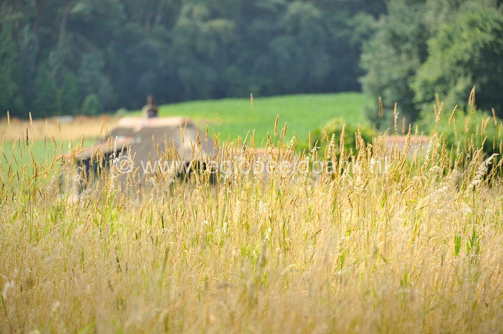 Loenense_Enkenpad_045.jpg