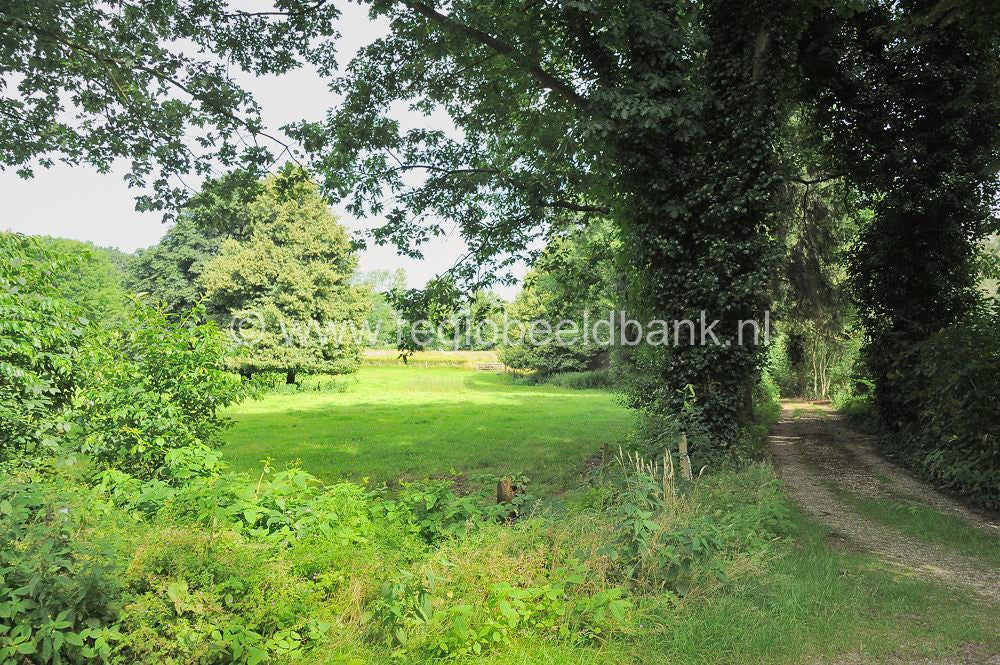 Loenense_Enkenpad_048.jpg