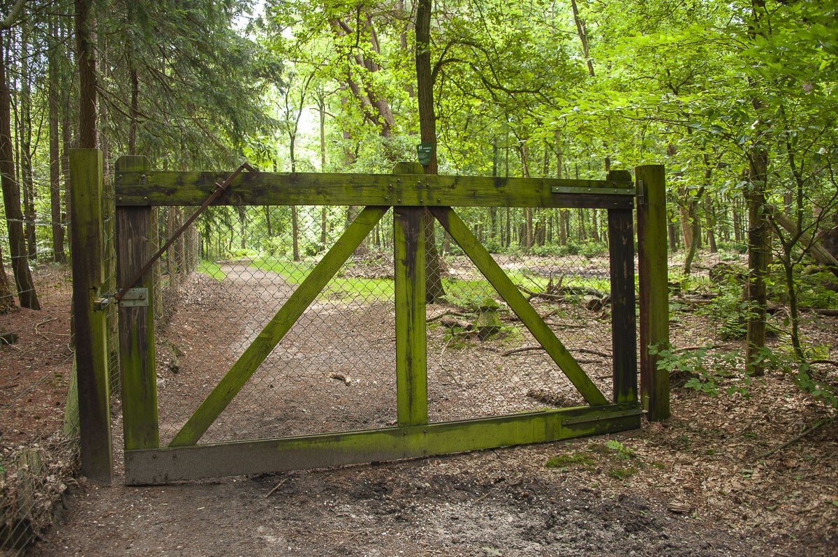 Loenense_Enkenpad_050-2.jpg