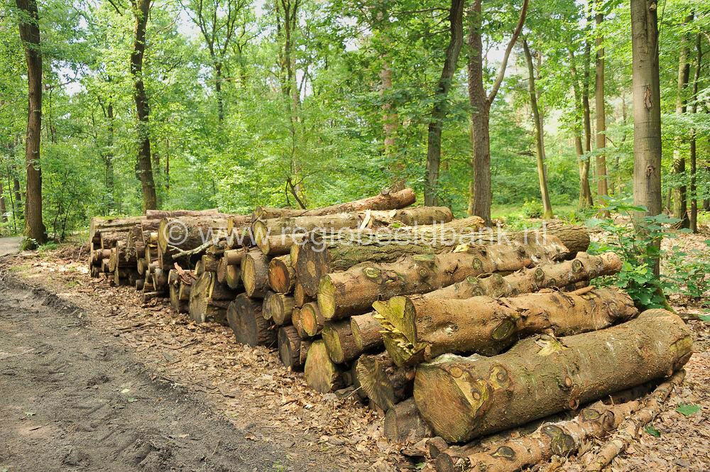 Loenense_Enkenpad_054.jpg