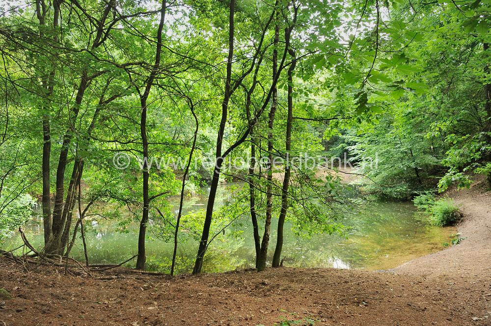 Loenense_Enkenpad_058.jpg