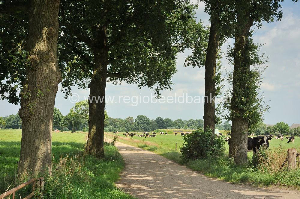 Loenense_Enkenpad_075.jpg