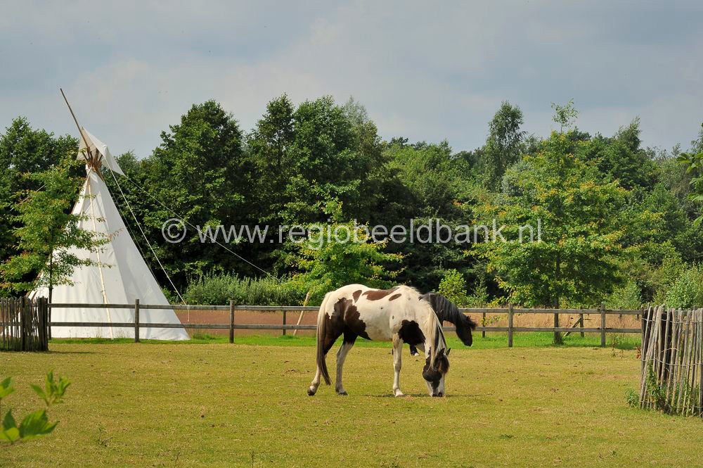 Loenense_Enkenpad_079.jpg