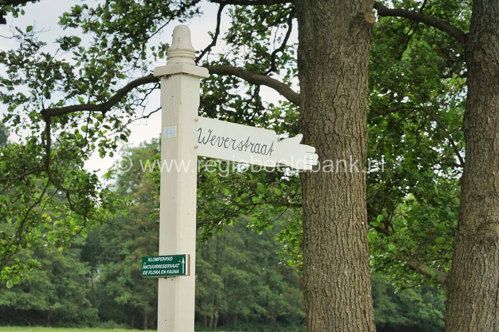 Loenense_Enkenpad_081.jpg