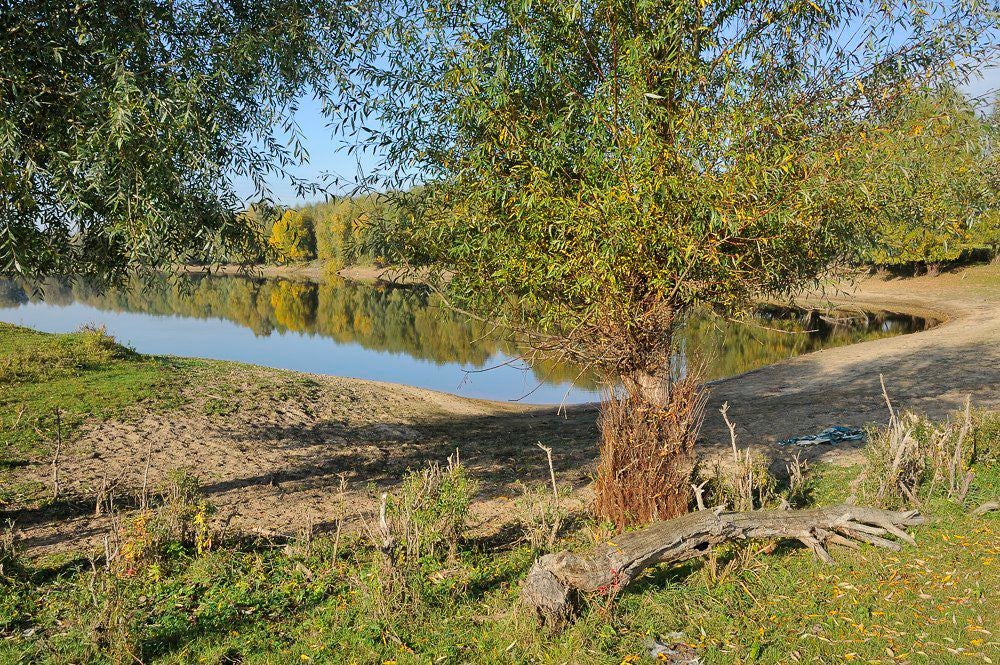 Loowaard Groessen