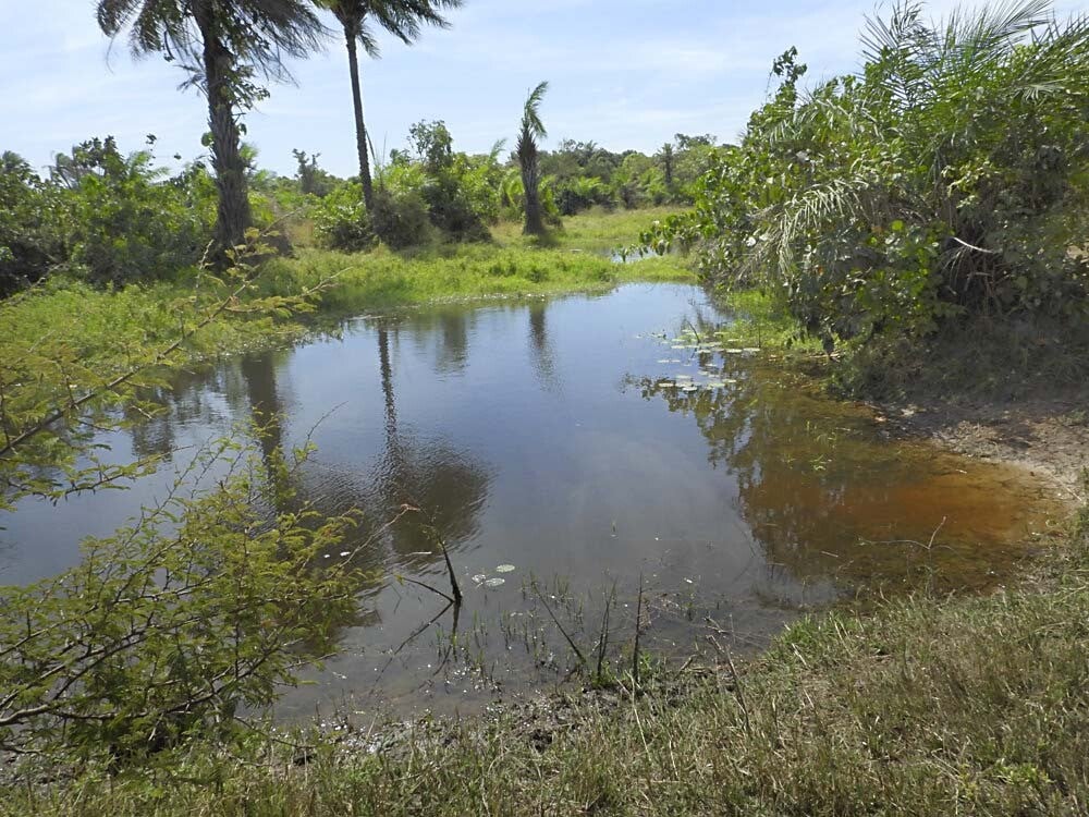 Madiana River