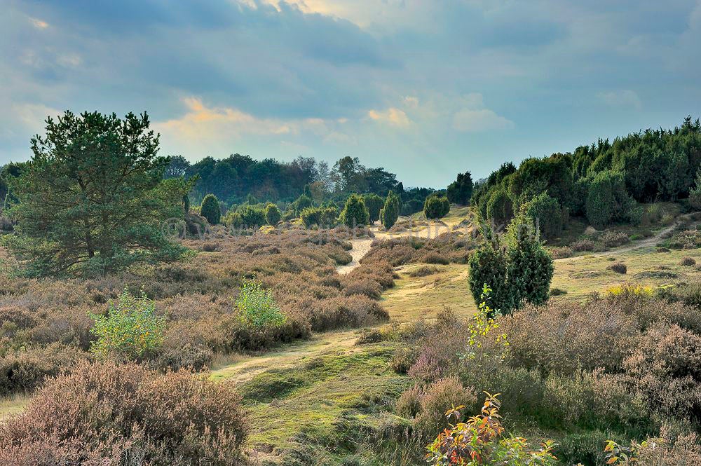 Mantingerveld_012-2.jpg
