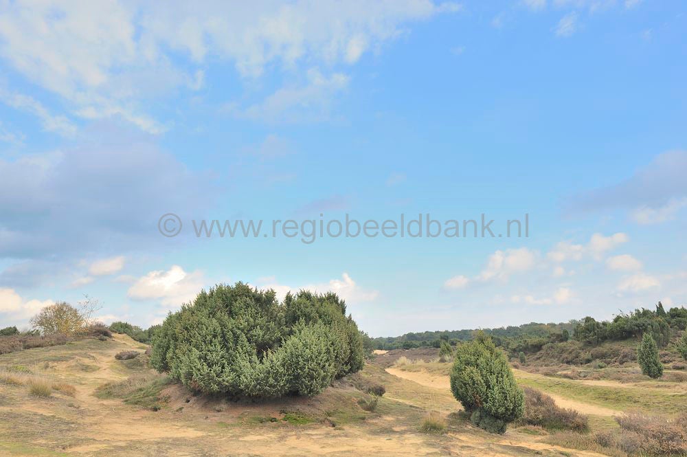 Mantingerveld_015.jpg