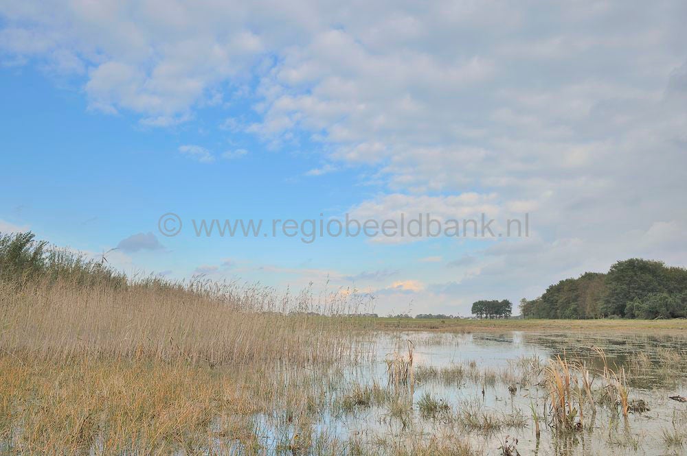Mantingerveld_020.jpg