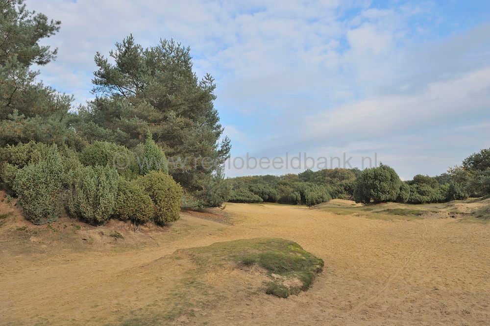 Mantingerveld_026.jpg