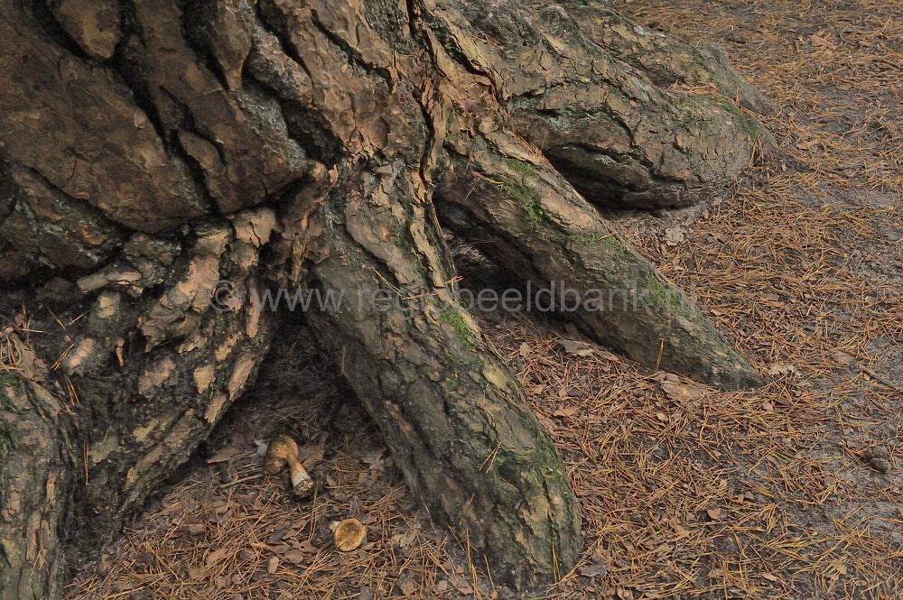 Mantingerveld_030.jpg