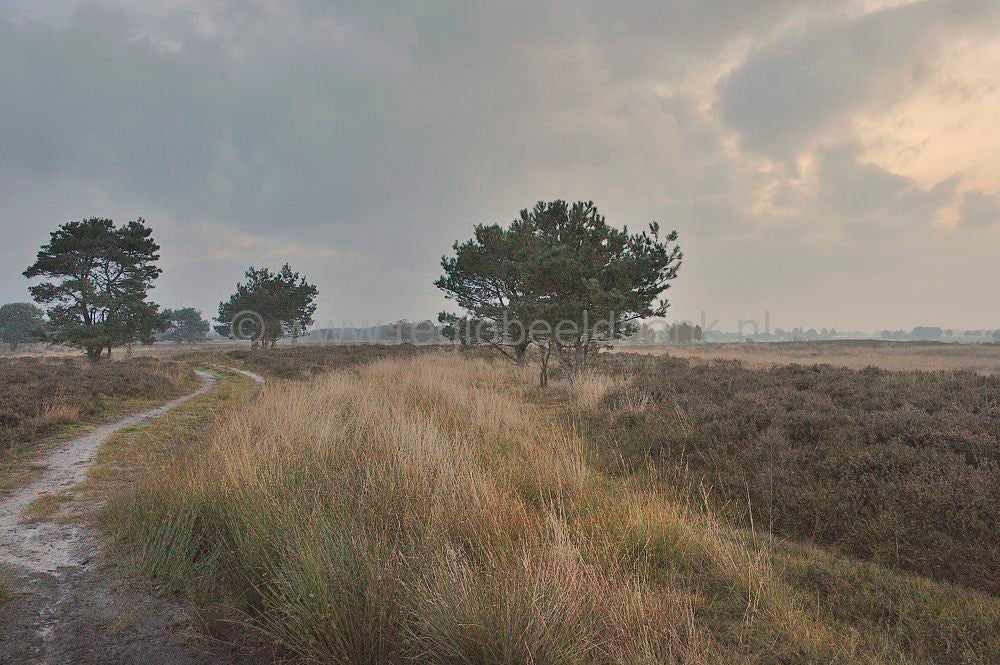 Mantingerveld_034.jpg