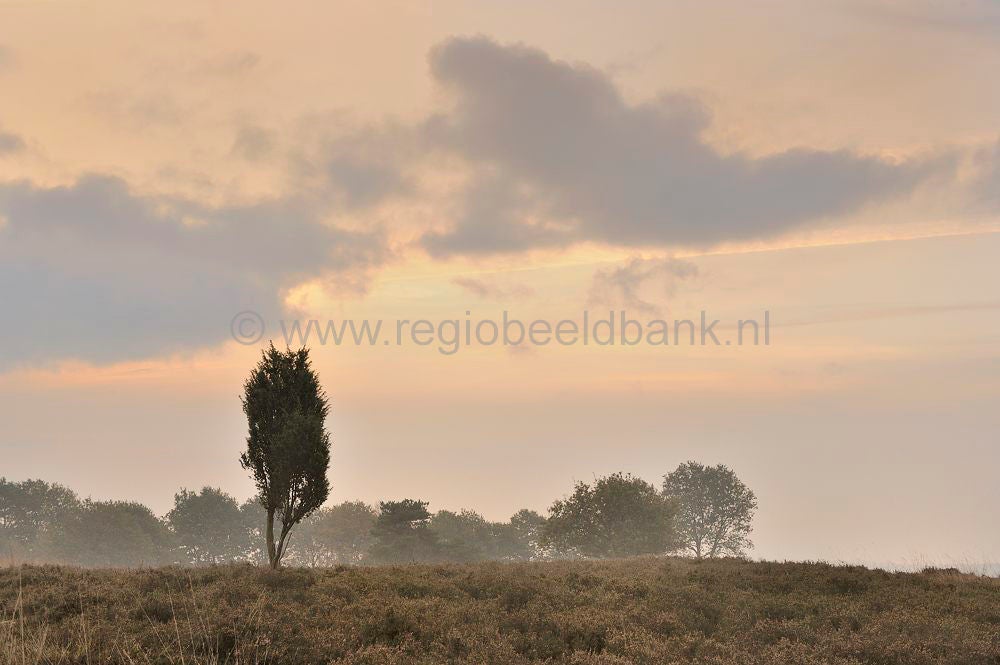 Mantingerveld_036.jpg
