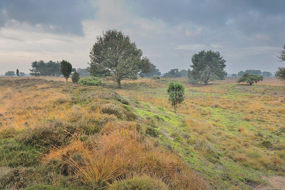 Mantingerveld_042.jpg