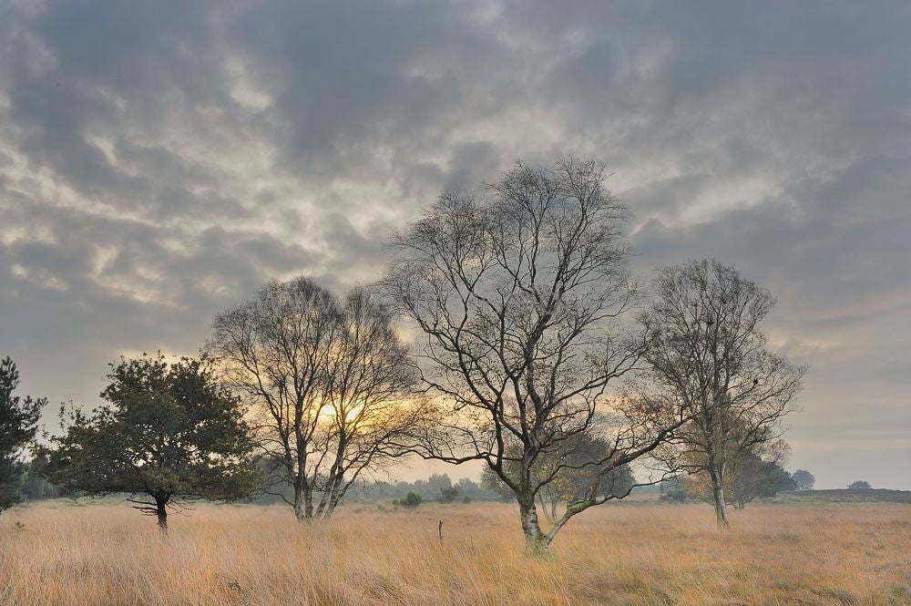 Mantingerveld_044.jpg