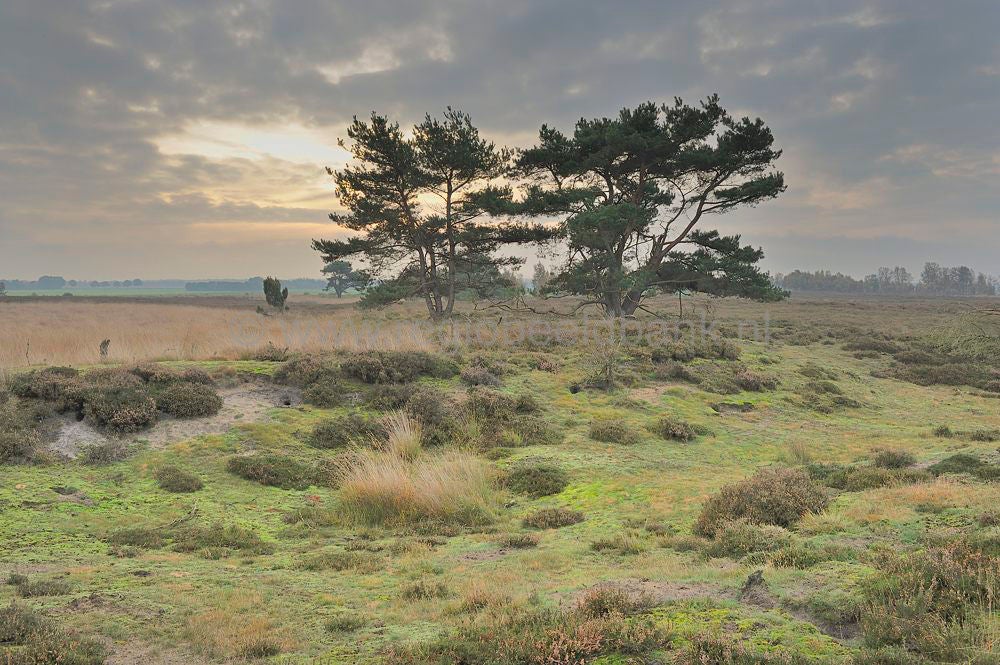 Mantingerveld_048.jpg