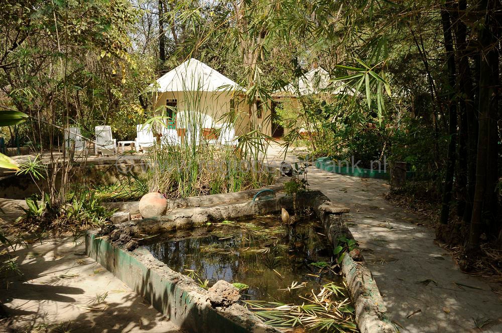 Marakissa_Lodge_507.jpg
