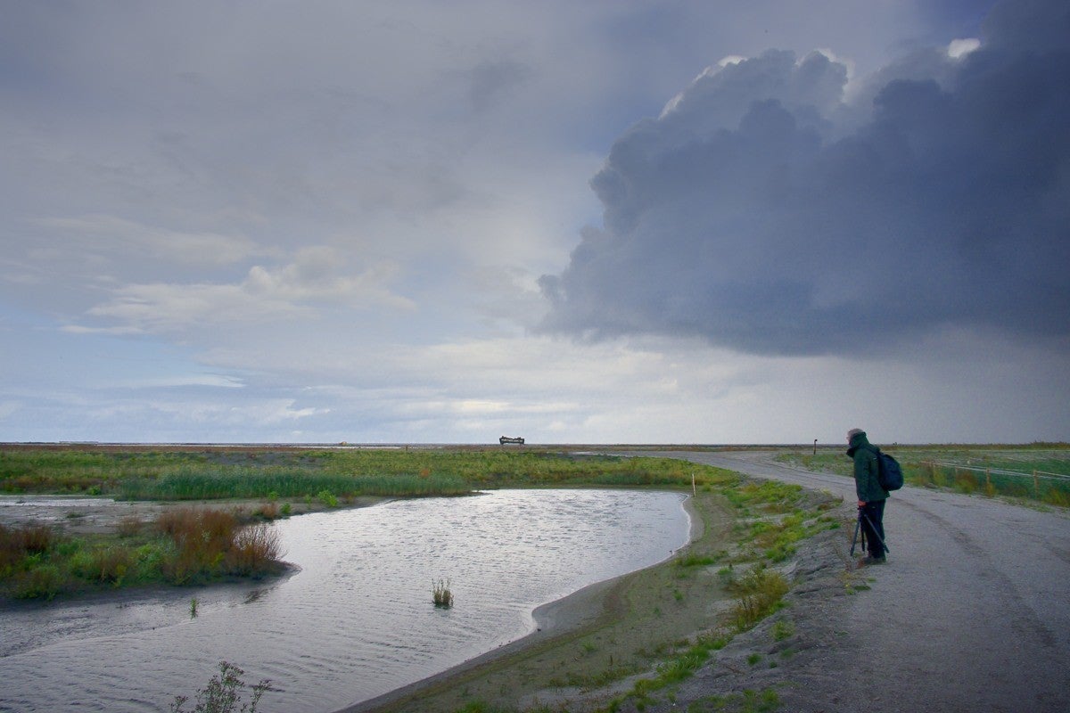 Markerwadden_018-1.jpg