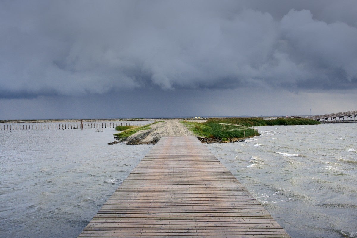 Markerwadden_020-2.jpg