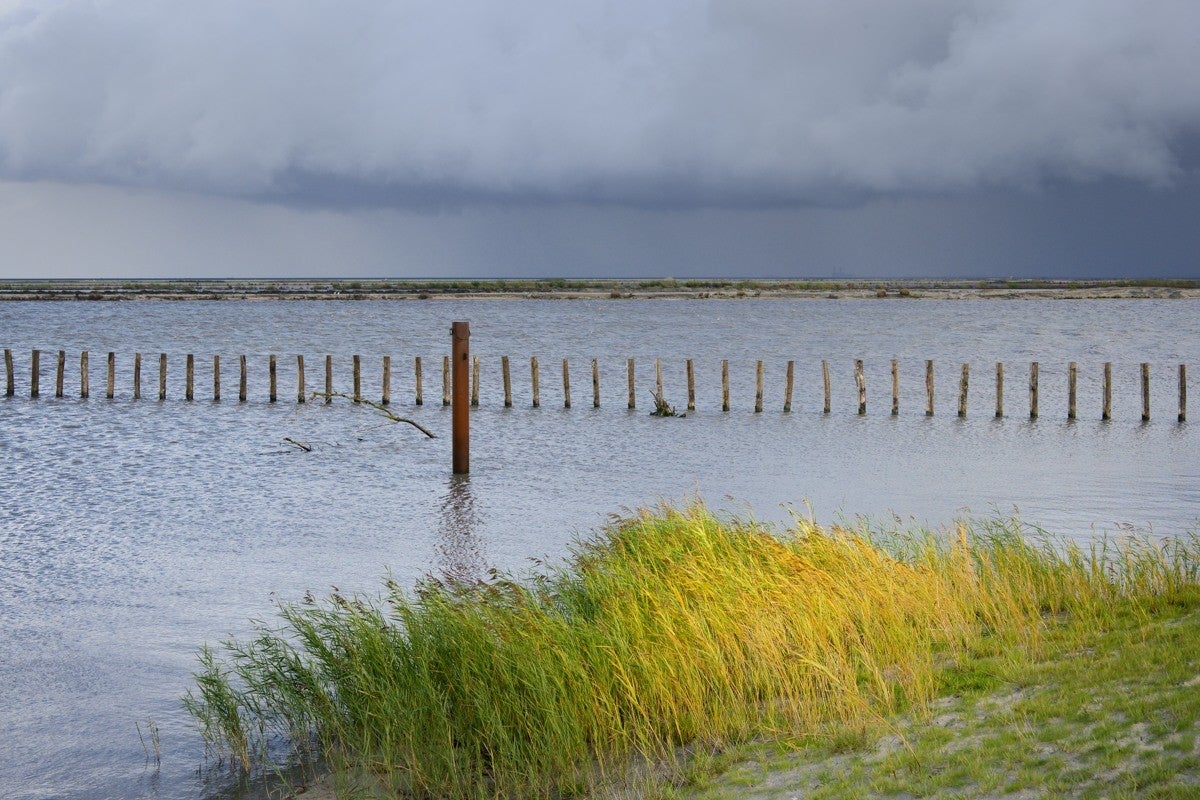 Markerwadden_021-1.jpg