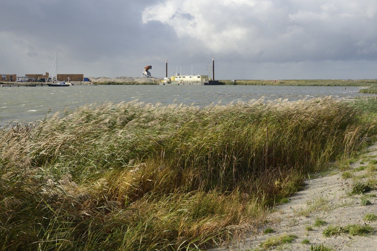 Markerwadden_025-1.jpg