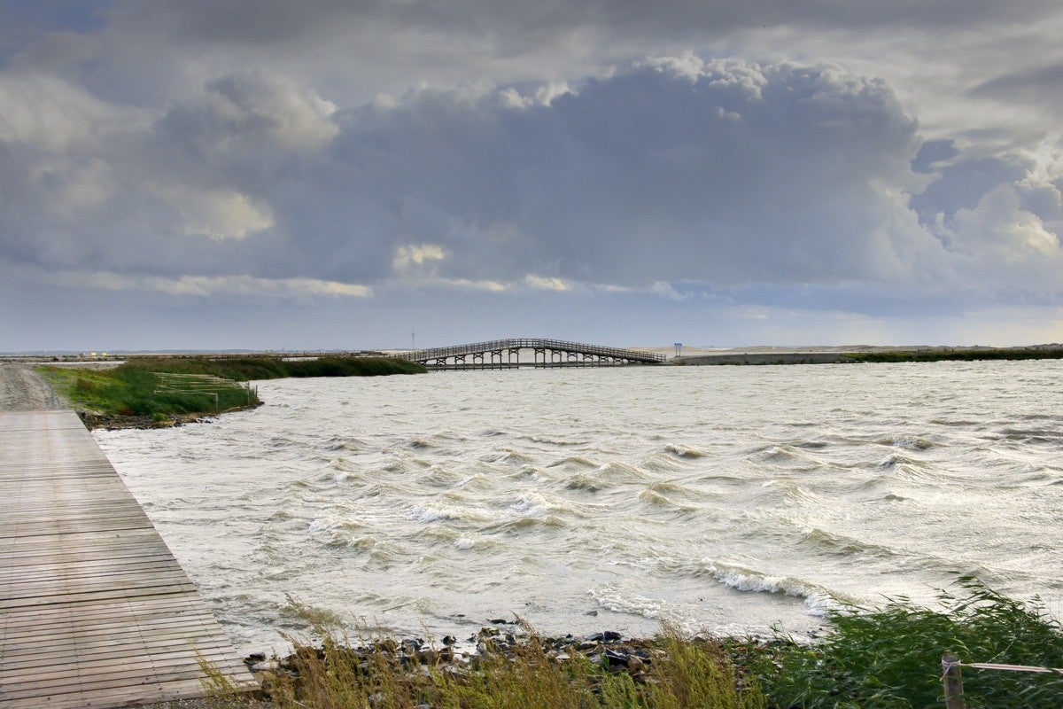 Markerwadden_027-1.jpg