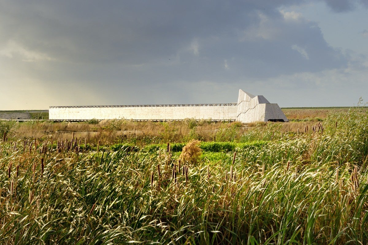 Markerwadden_030-1.jpg