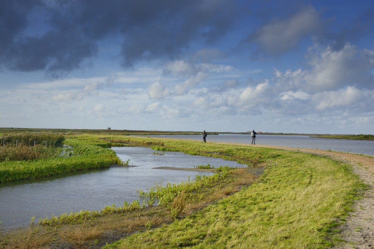 Markerwadden_032-1.jpg