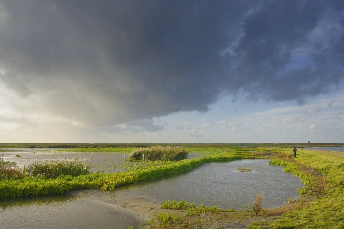 Markerwadden_033-1.jpg