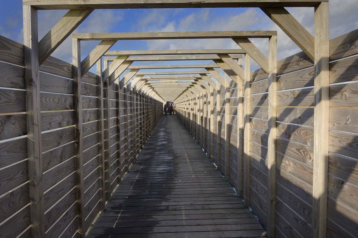 Markerwadden_040-1.jpg