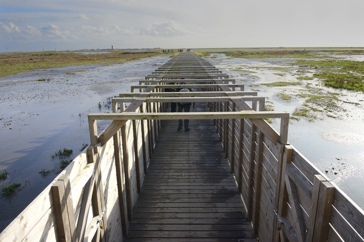 Markerwadden_044-1.jpg