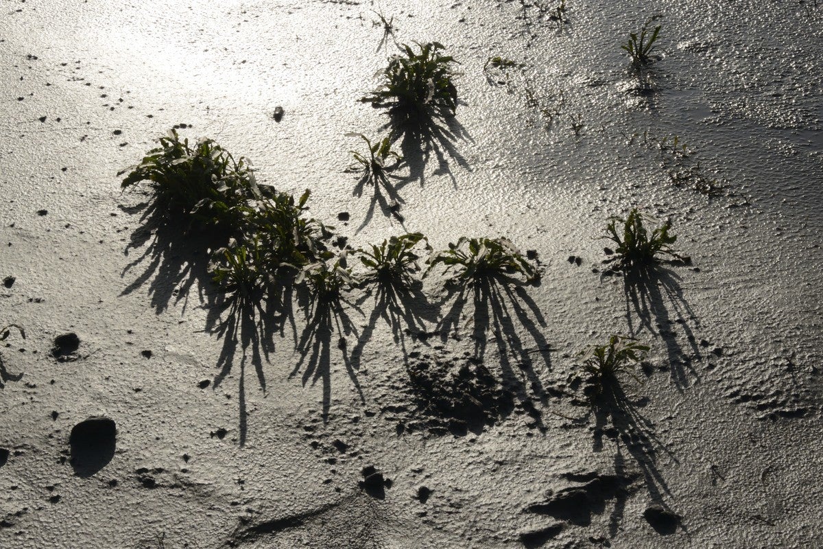 Markerwadden_046-1.jpg