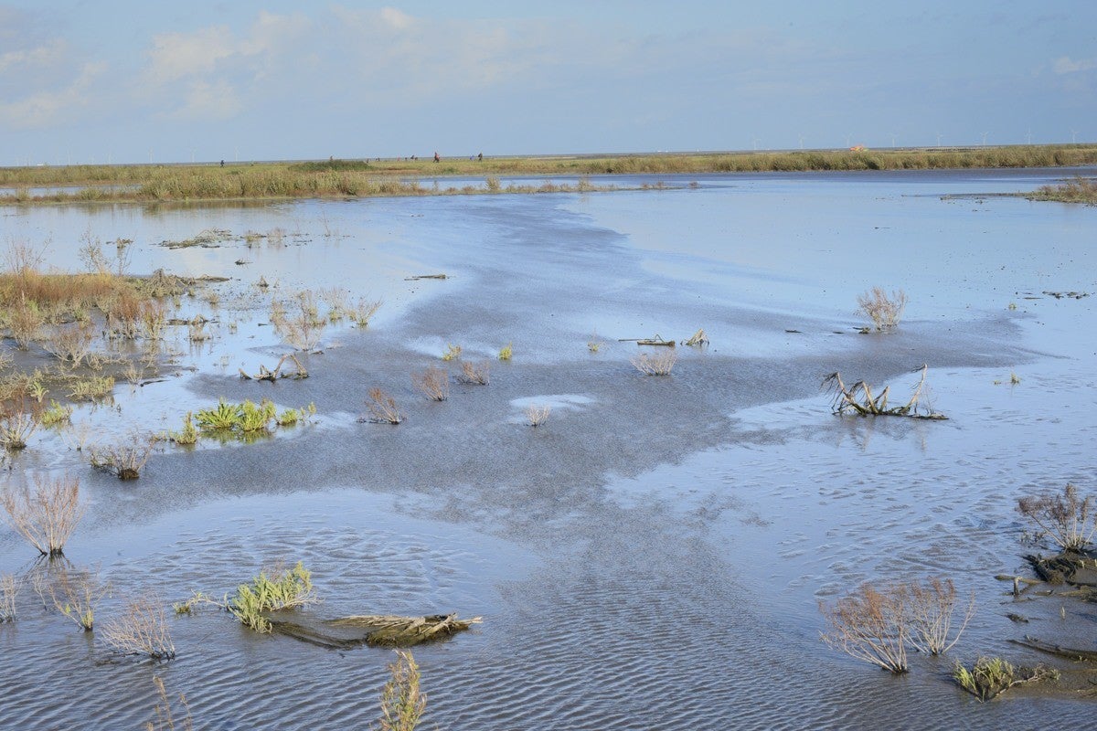 Markerwadden_049-1.jpg