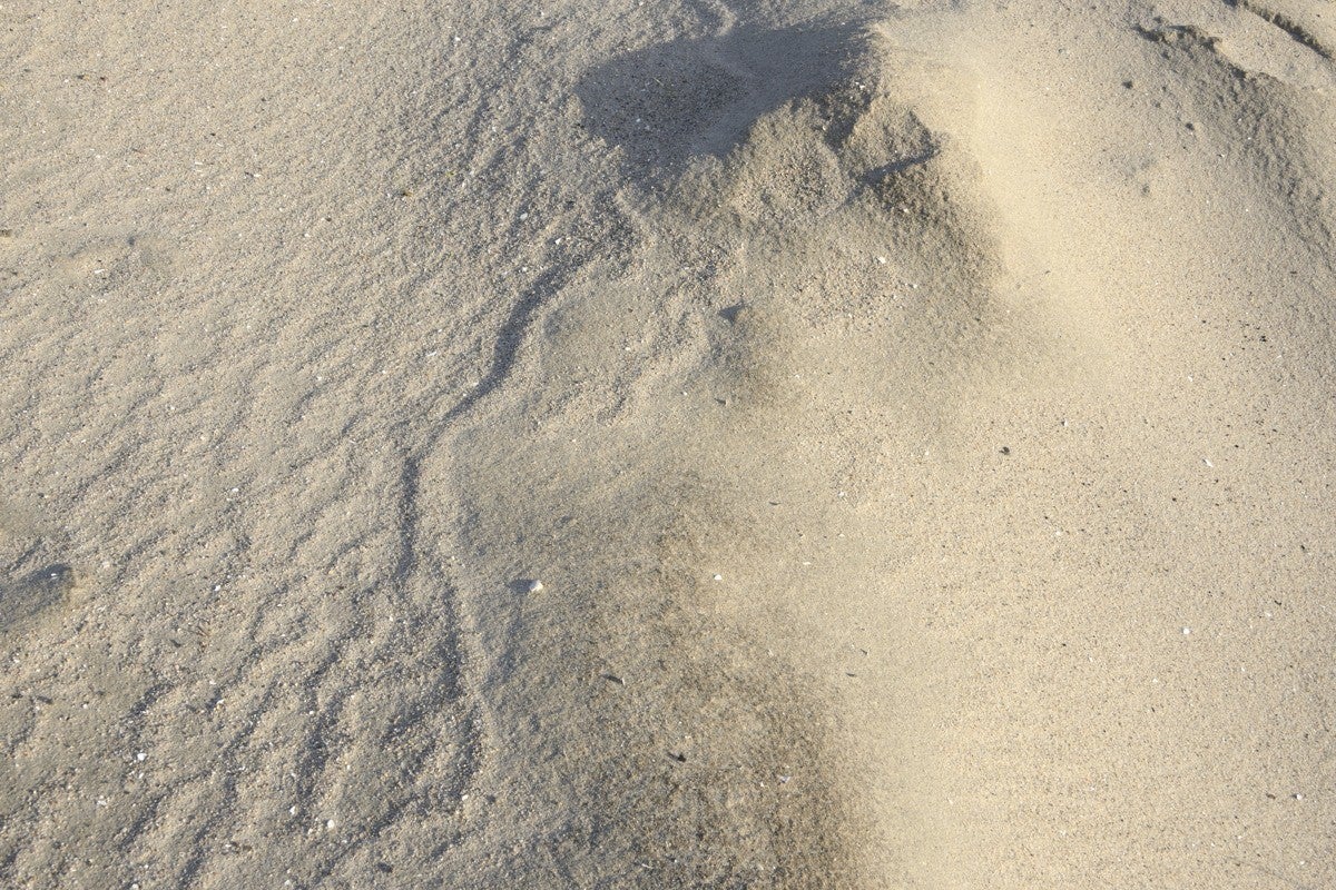 Markerwadden_053-1.jpg
