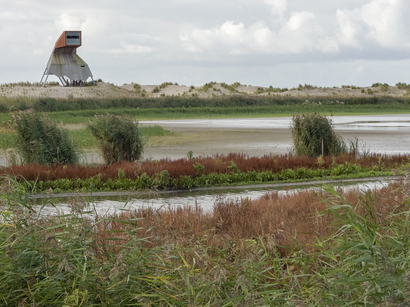 Markerwadden_118.jpg