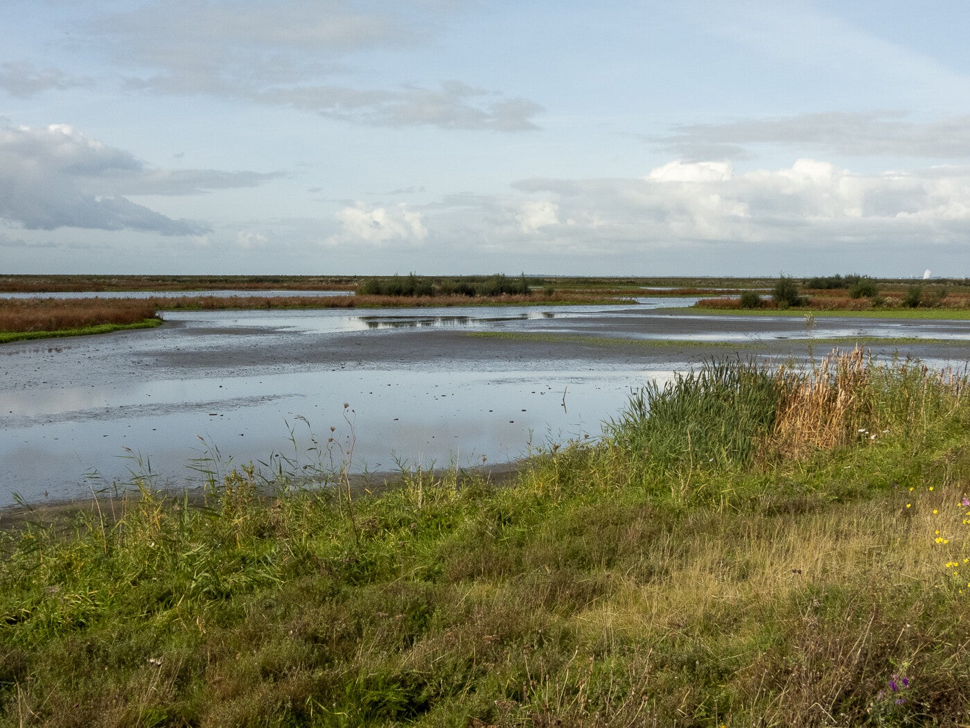 Markerwadden_120.jpg