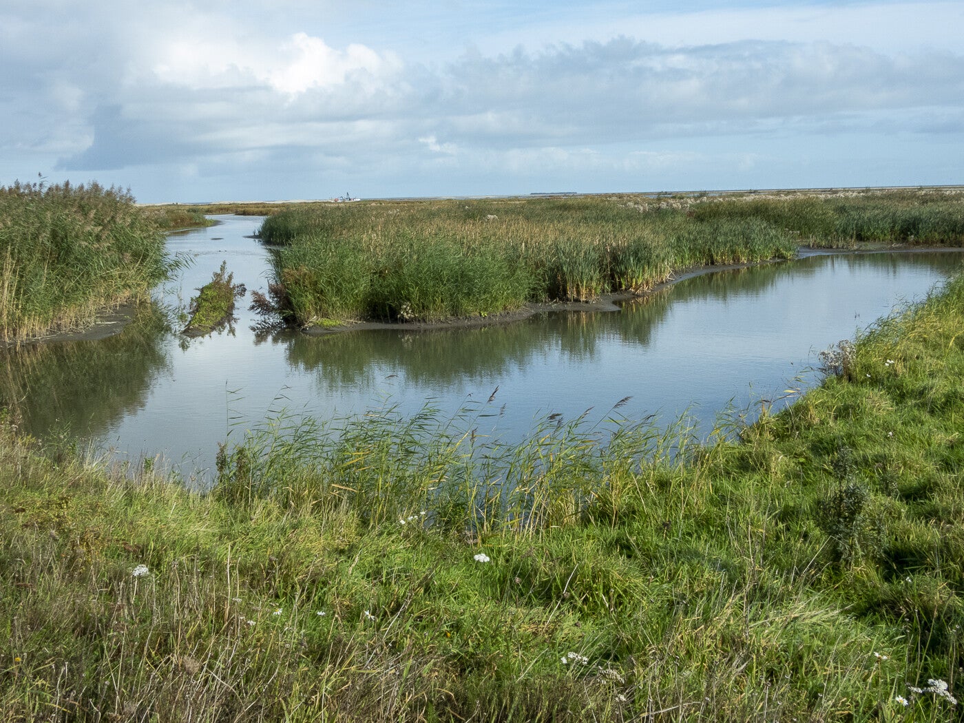 Markerwadden_130.jpg