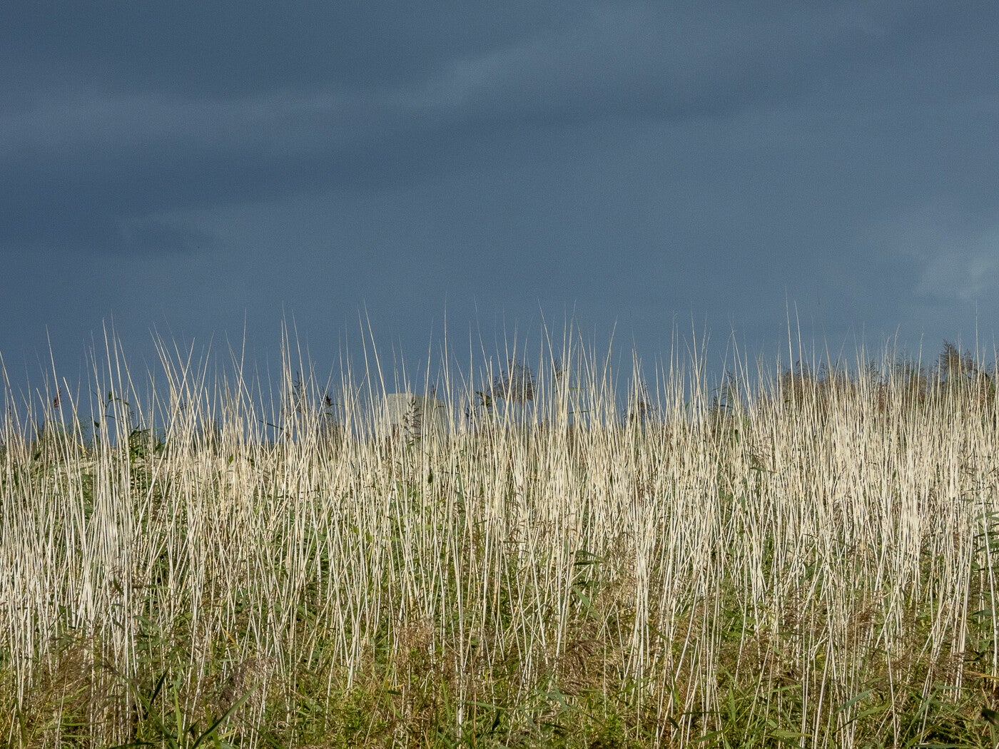 Markerwadden_132.jpg