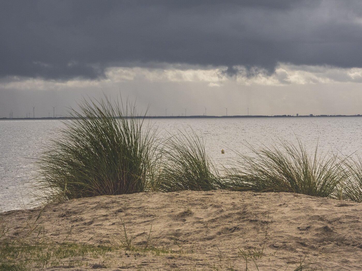 Markerwadden_142.jpg