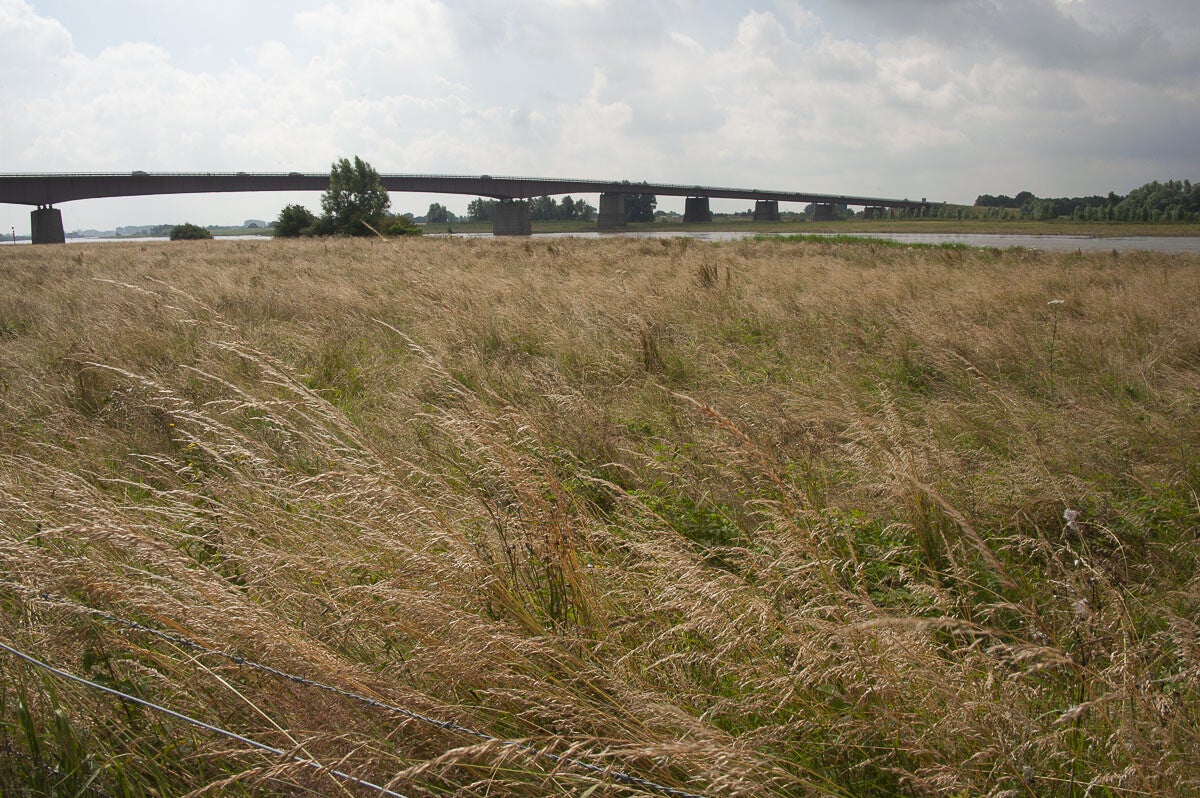 Marspad_006.jpg