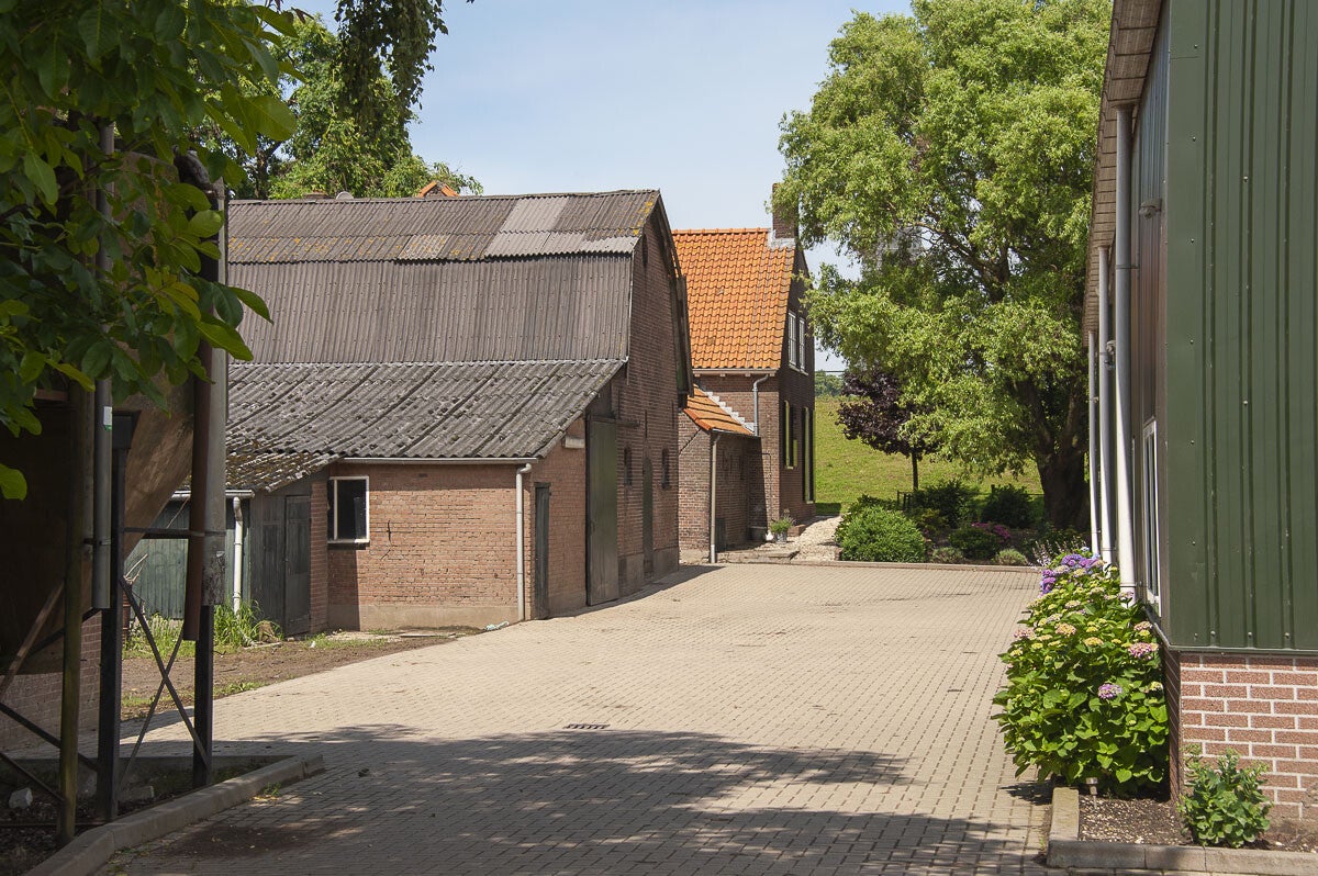 Marspad_049.jpg