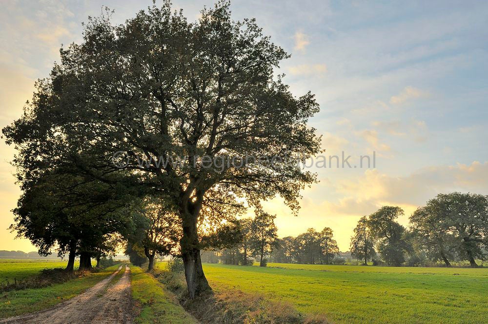 Rondom Meppen