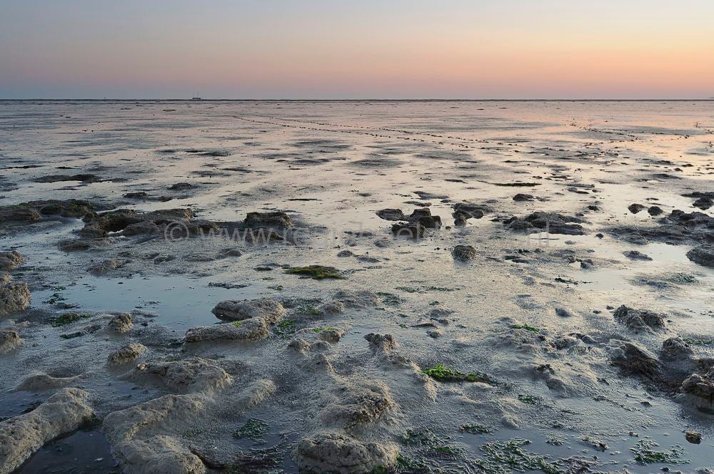 Waddenzee Moddergat