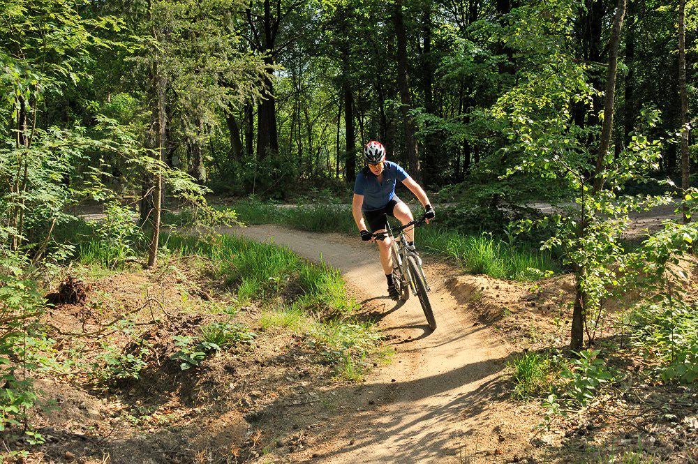 Mountain_Bike_Parcours_006.jpg